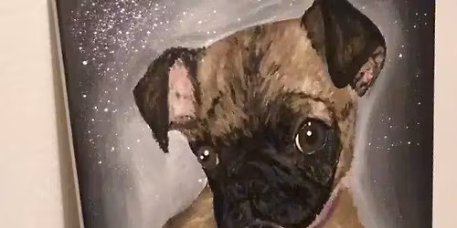 PAINT YOUR PET