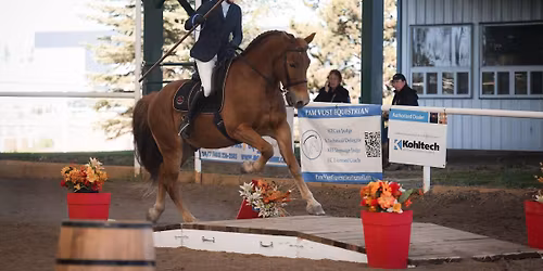 Introducing to Working Equitation Obstacle Clinic Saturday April 19, 2025, 9.00 AM-5:00 PM