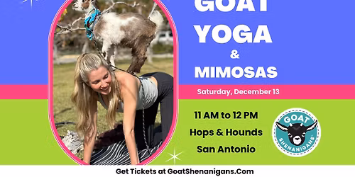 Goat Yoga and Mimosas