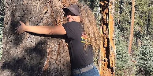 Women's One Day Sustainable Camping Skills in Pagosa Springs Colorado