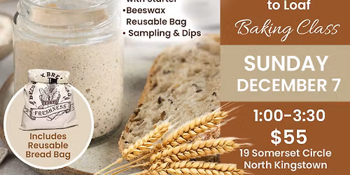 Sourdough 101: From Starter to Loaf