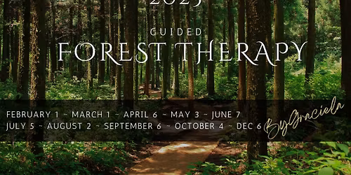 Guided Forest Therapy By Graciela in Murphy, NC