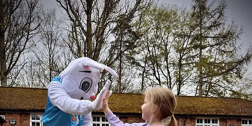 Eggstravaganza