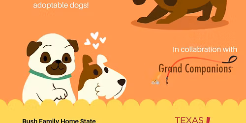 Kids Reading to Dogs