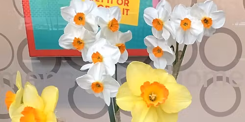 Southport Spring Show 2026