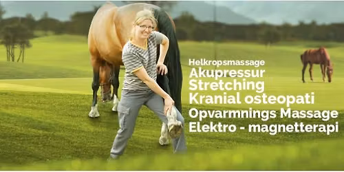F\u00e6rdig uddannet i osteopati og fysioterapi til hund