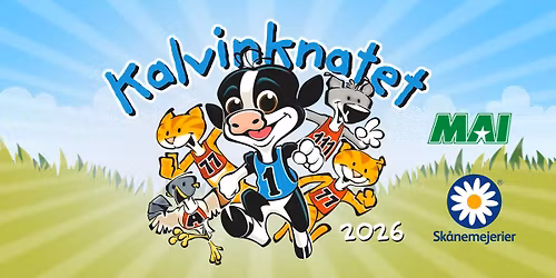 Kalvinknatet i Malm\u00f6 - Ribban