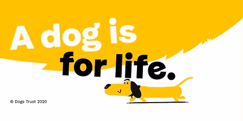 Dogs Trust Salisbury  - Christmas Fair!