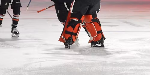 Northeastern Huskies Hockey vs. Boston College Eagles