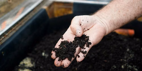 Composting with Worms at Home: Creating Your Own Fertilizer