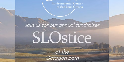 SLOstice Annual Fundraiser 