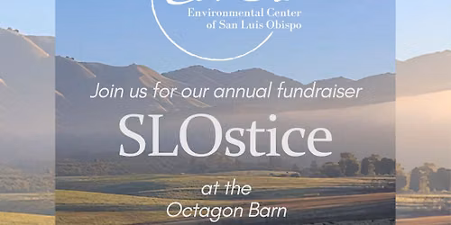 SLOstice Annual Fundraiser 