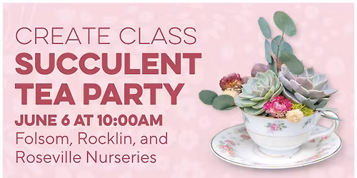 Create Class: Succulent Tea Party | Roseville