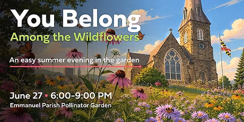 Where the Wildflowers Are