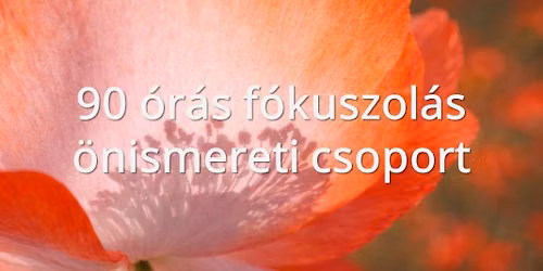 90 \u00f3r\u00e1s F\u00f3kuszol\u00e1s-orient\u00e1lt \u00f6nismereti csoport