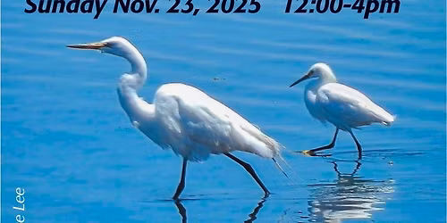 Gabriola Photo Club show 