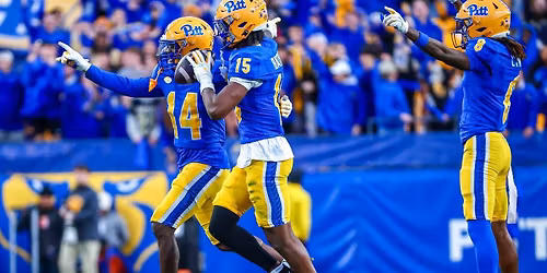 Pittsburgh Panthers at Stanford Cardinal Baseball