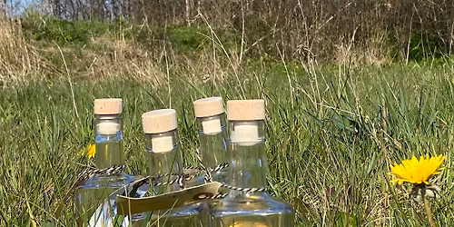 Snapsetur p\u00e5 K\u00e6r Vestermark