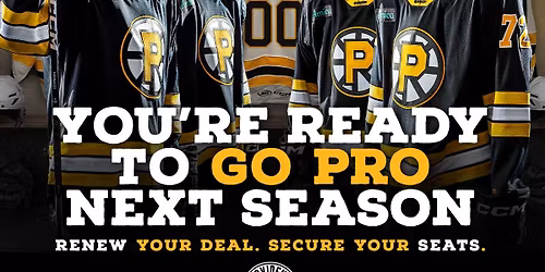 Providence Bruins vs. Springfield Thunderbirds
