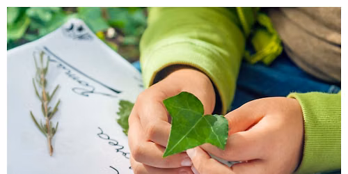 Nature Journaling