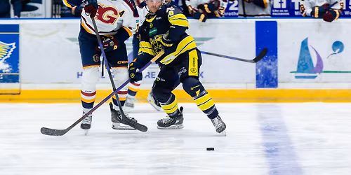 Elite Ice Hockey League: Fife Flyers vs Guildford Flames