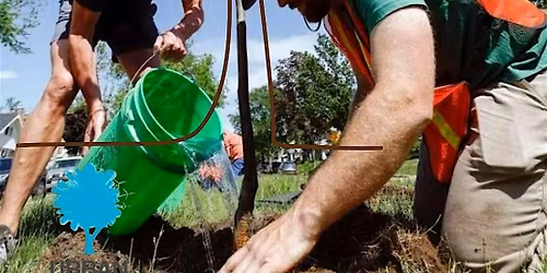 Capitol Park Neighborhood Tiny Tree Planting
