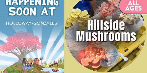 Hillside Mushrooms