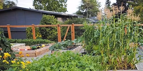 I Planted a Garden, Now What?