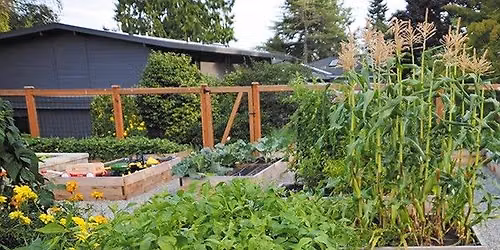 I Planted a Garden, Now What?