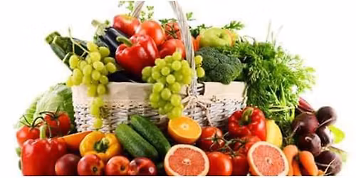 adults (40+ and seniors) full body circuit class)