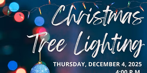 Holiday Tree Lightning