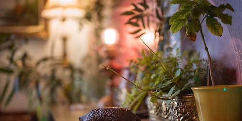 Taste The History Of Chocolate