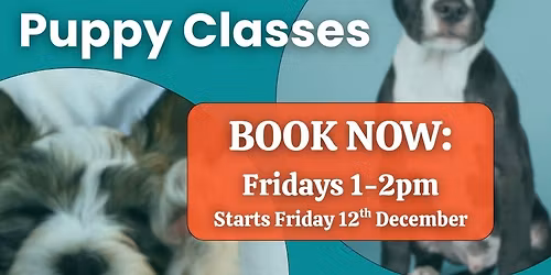 Friday Puppy Classes - 6 Weeks