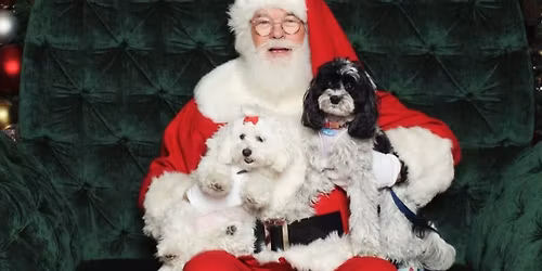 Pet Photos with Santa