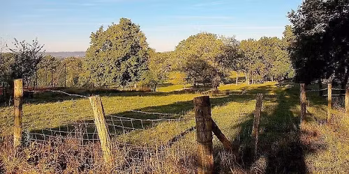 F\u00eate du Bocage et Etats G\u00e9n\u00e9reux de la bouchure 2025