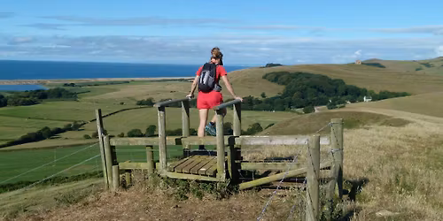 The Fleet & Feet Trail - 10k, half or full marathon, run or walk. 