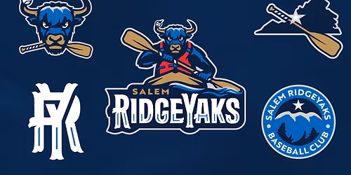 Myrtle Beach Pelicans at Salem RidgeYaks at Salem Memorial Ballpark - Carilion Clinic Field