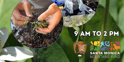 FREE PLANT SATURDAYS! - Native Plant Nursery Volunteering