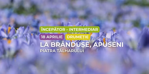 Drume\u021bie \u00eencep\u0103tor - intermediar: La br\u00e2ndu\u0219e \u00een Apuseni, Piatra T\u00e2lharului