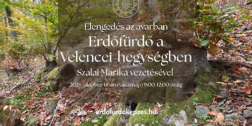 ERD\u0150F\u00dcRD\u0150 a Velencei-hegys\u00e9gben - Elenged\u00e9s az avarban