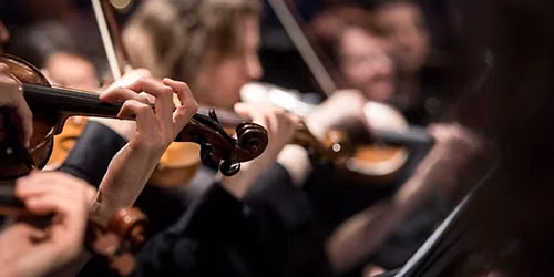 Milwaukee Symphony Orchestra: Harry Potter and The Chamber of Secrets In Concert