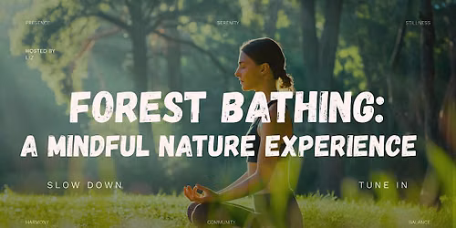 Forest Bathing  | A Mindful Nature Experience