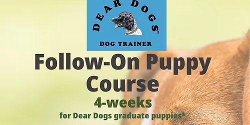 Follow-On Puppy Course
