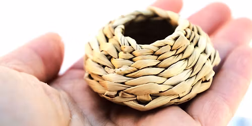 Fl\u00e4ta i s\u00e4v