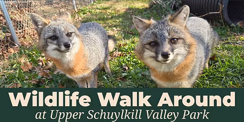 Wildlife Walk Around