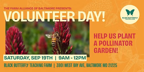 Black Butterfly Farm Volunteer Day (Sat)