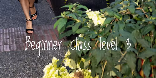 Tango for beginners level 3 Plus! 