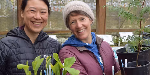 Arboretum Spring Plant Sale