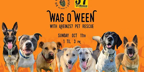 Wag-o-Ween with AHeinz57 Pet Rescue | Big Grove Des Moines