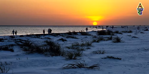 Light Travels: Florida
